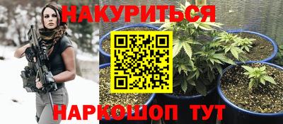 шишки Старая Купавна