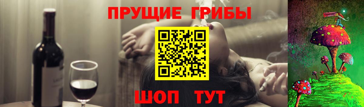 Нарткала  Псилоцибиновые грибы Cubensis  Вход с VPN 